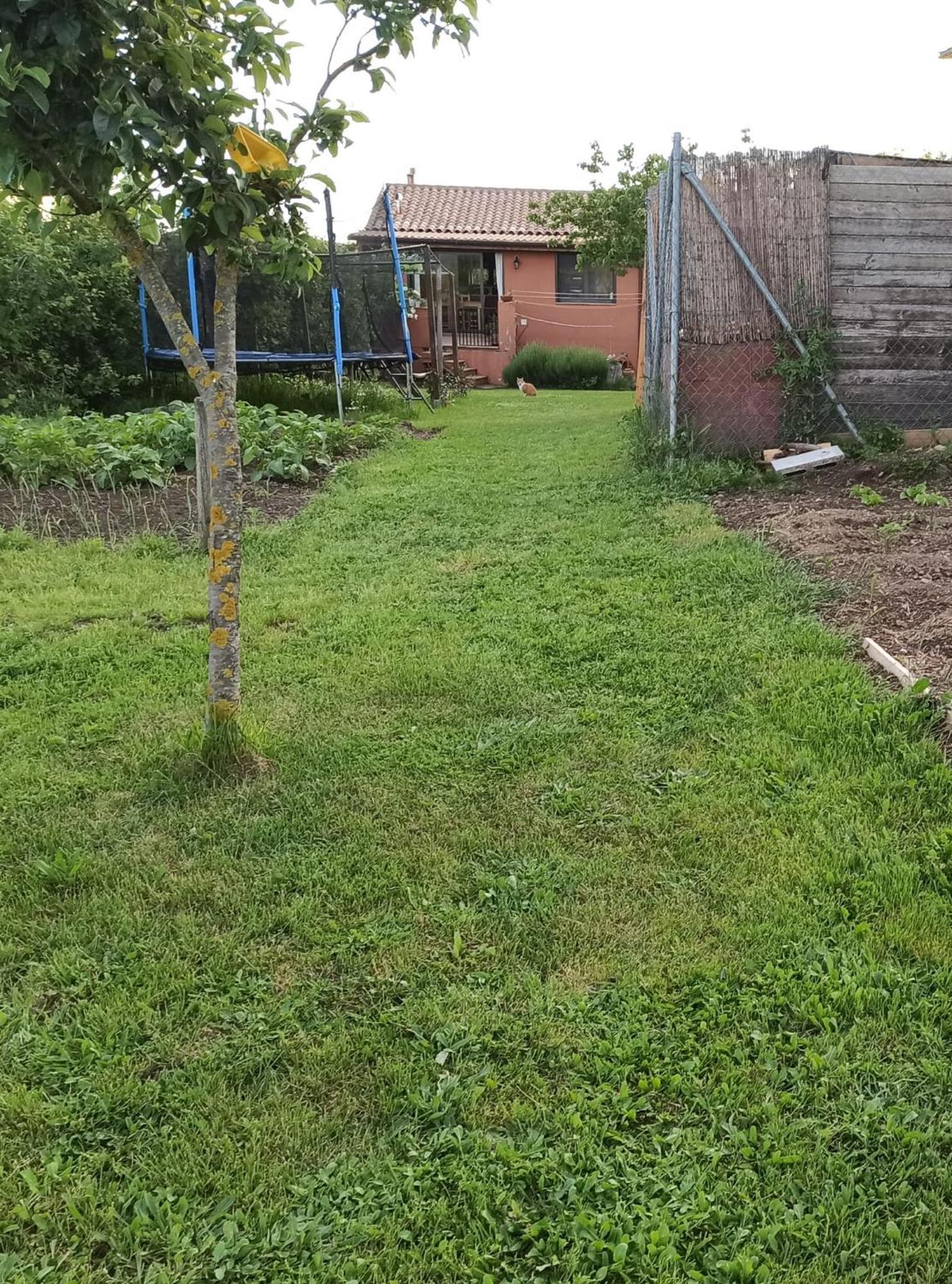 Alojamiento Compartido Cantroncxic San Pedro de Torelló Extérieur photo